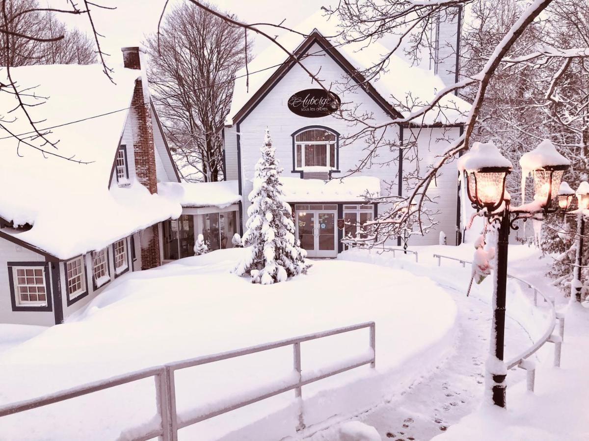 Auberge Sous Les Arbres Gaspe Ngoại thất bức ảnh